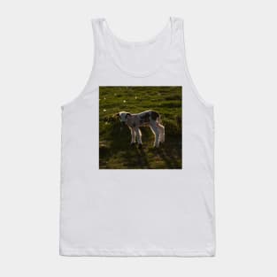 Newborn lamb Tank Top